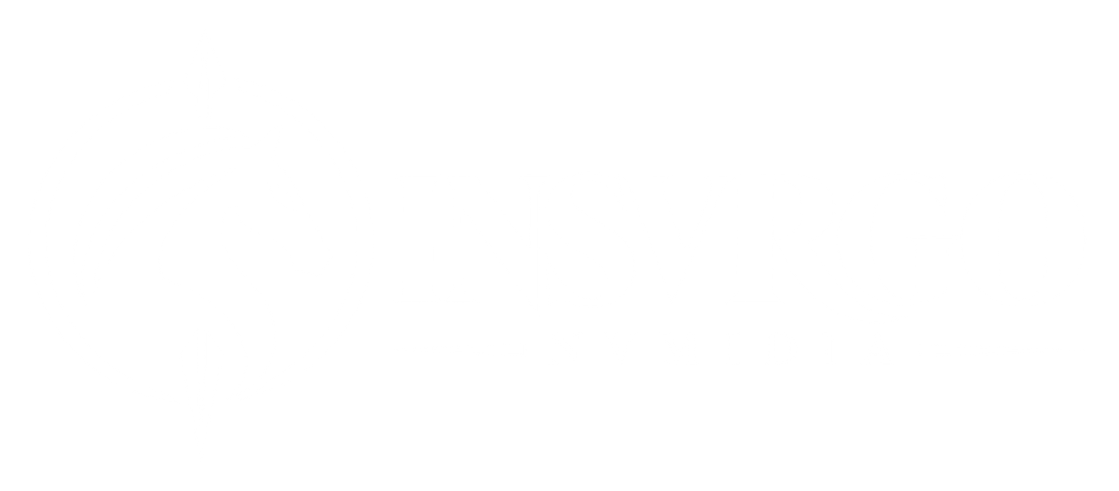 INSVRGO NVMIDIA